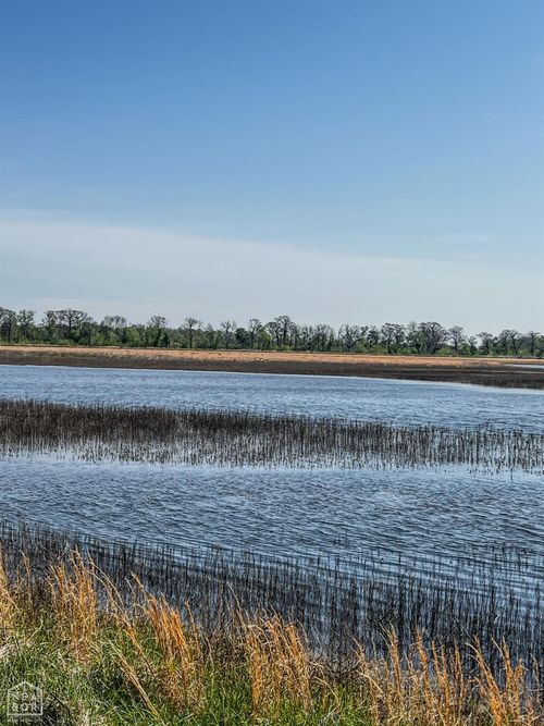 1962 Upper Lockhart Rd, Cord, AR, 72524 | Card Image