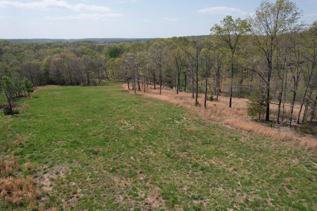 DJI_0489 | Image 4