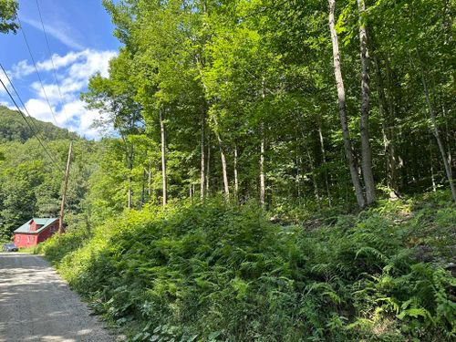 10-61-0 Dog Pond Road, Woodbury, VT, 05680 | Card Image