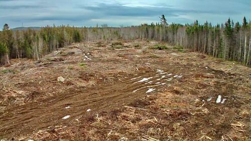 1 Lively Brook Acres, Whiting, ME, 04691 | Card Image