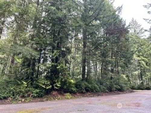11307 114th Street Ct, Anderson Island, WA, 98303 | Card Image