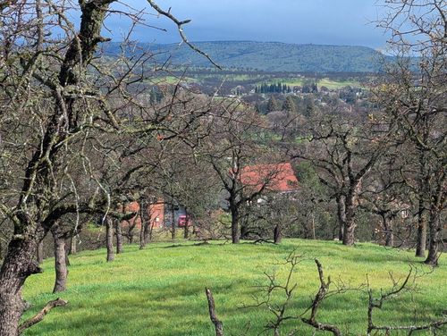 000 Knob Hill Pl, Red Bluff, CA, 96080 | Card Image