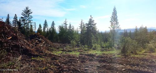 0 Ryan Loop, Saint Maries, ID, 83861 | Card Image