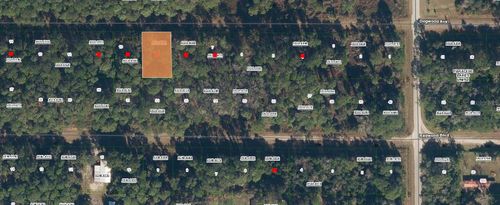 423 Dogwood Ave, Georgetown, FL, 32139 | Card Image