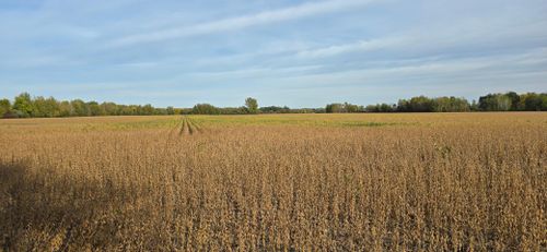 XXX E Olive Ave, Ogilvie, MN, 56358 | Card Image