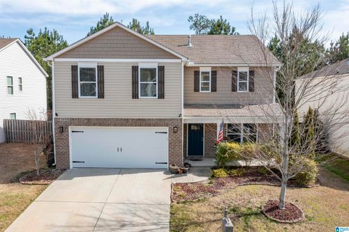 234 Chesser Reserve Dr, CHELSEA, AL, 35043-8603 | Card Image
