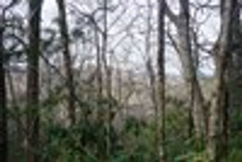 TBD Summit Trl, Highlands, NC, 28741 | Card Image