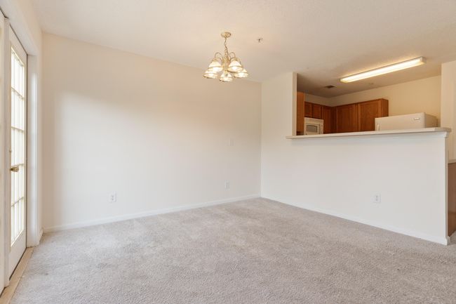282 swaying pines-20 | Image 12