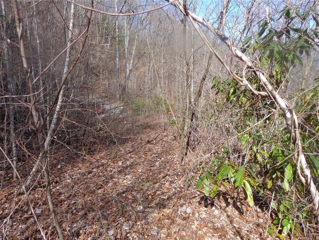 Roughed in logging road view toward entrance | Image 9