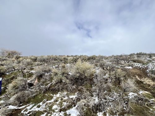 327 Lookout Dr, Spring Creek, NV, 89815-5414 | Card Image