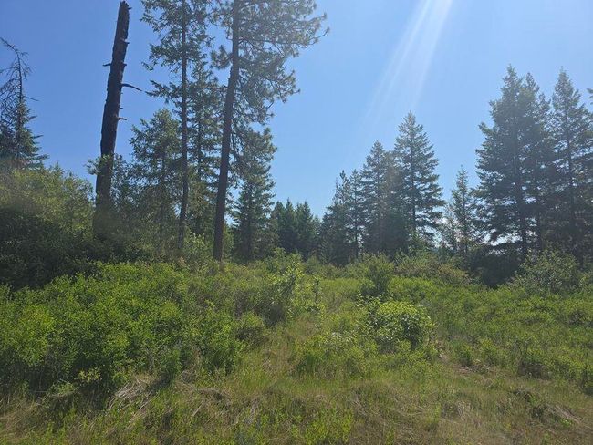 3715 Hill Loop Rd, Home with 0 bedrooms, 0 bathrooms and null parking in Kettle Falls WA | Image 11