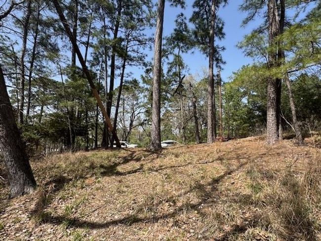 312 Waterview Dr, Home with 0 bedrooms, 0 bathrooms and null parking in Trinity TX | Image 10