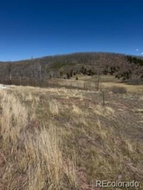 1648 Cary Ln, Fort Garland, CO, 81133-9753 | Card Image