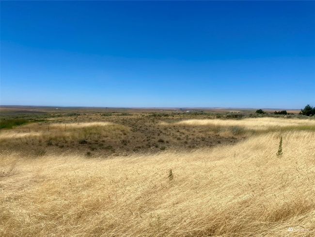 0 Sw Trinity Ave, Home with 0 bedrooms, 0 bathrooms and null parking in Wilbur WA | Image 11