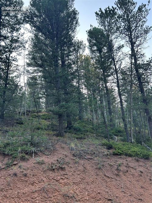 83 Sodalite Rd, Divide, CO, 80814 | Card Image