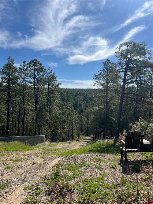 2444 Crooked Rd, Pagosa Springs, CO, 81147 | Card Image