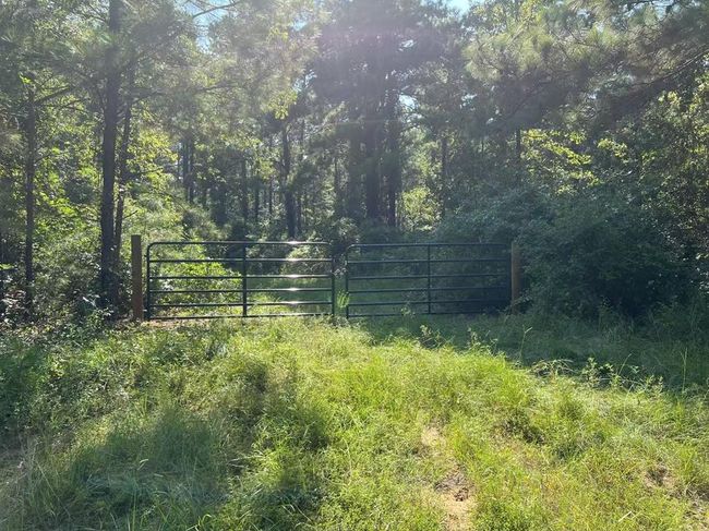 00 Fm 1751, Home with 0 bedrooms, 0 bathrooms and null parking in BRONSON TX | Image 4