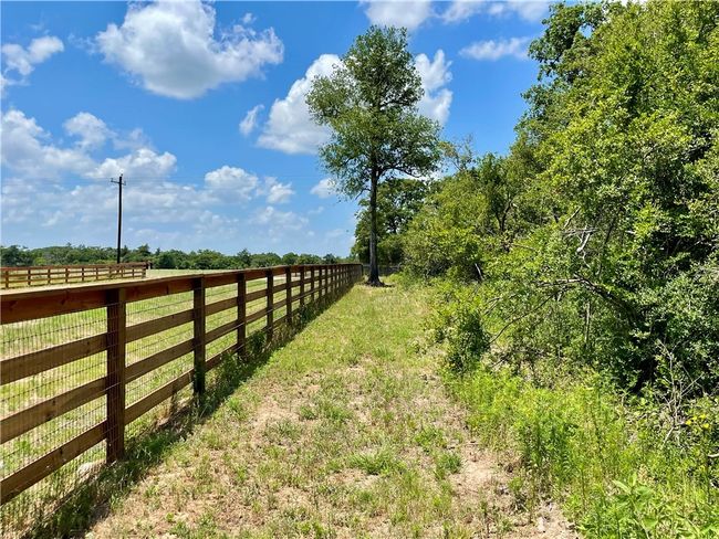 9264 Stetson Drive, Home with 0 bedrooms, 0 bathrooms and null parking in Normangee TX | Image 19