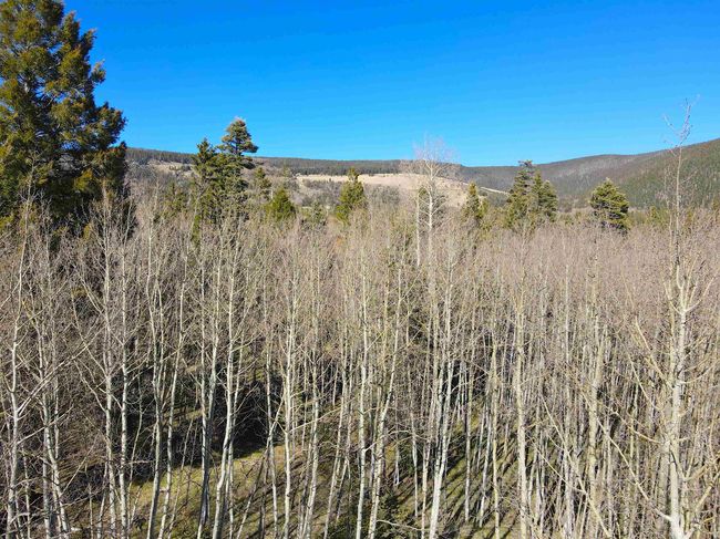 2 Acres Off Quail Ridge, Home with 0 bedrooms, 0 bathrooms and null parking in Angel Fire NM | Image 6