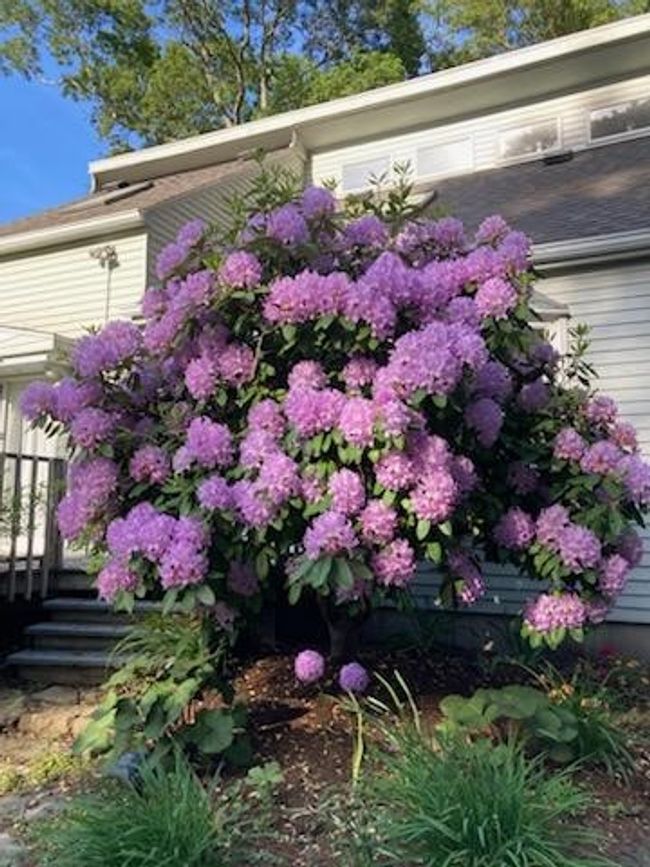 29 Wake Robin Trl, House other with 2 bedrooms, 2 bathrooms and 3 parking in Saunderstown RI | Image 28