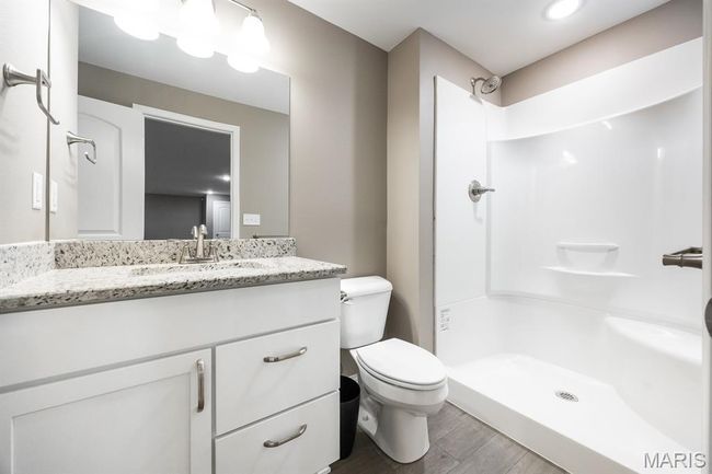 Lower Level with LVP flooring | Image 25