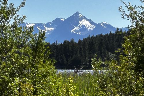 7326 Tyaughton Lake Rd, Gold Bridge, BC, V0K1P0 | Card Image