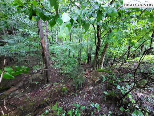 143 Raccoon Rd, Beech Mountain, NC, 28604-8170 | Card Image