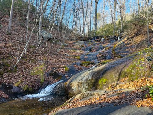 TBD Johnson Holw, Schuyler, VA, 22969 | Card Image