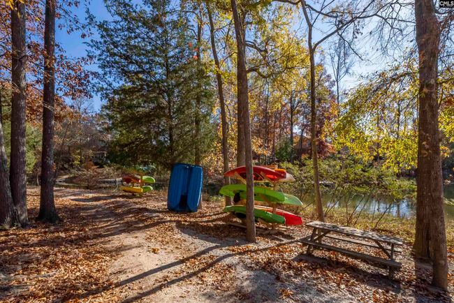 124 Pond Edge Ln, House other with 4 bedrooms, 3 bathrooms and null parking in Chapin SC | Image 29