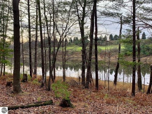 00D Lazy Ridge Trl, Lake Ann, MI, 49650 | Card Image