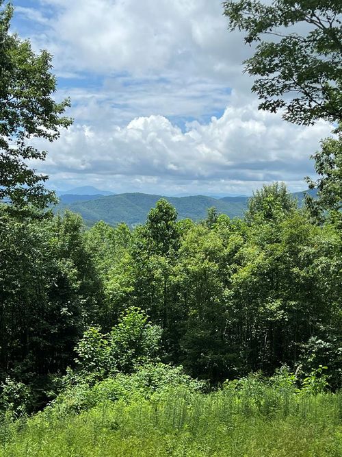 TBD Holiday Ln, Whitetop, VA, 24292 | Card Image