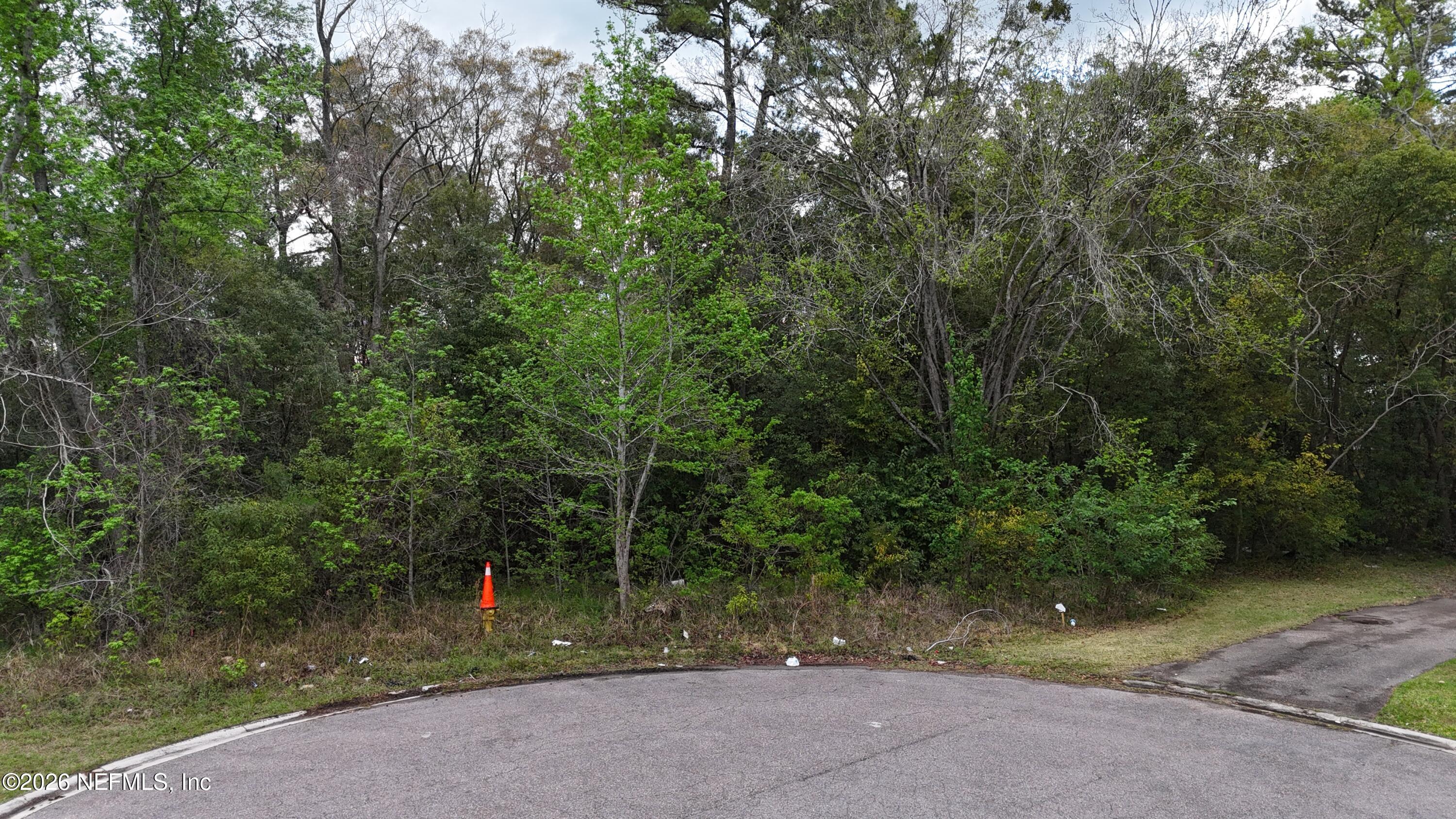 Land in Jacksonville 2