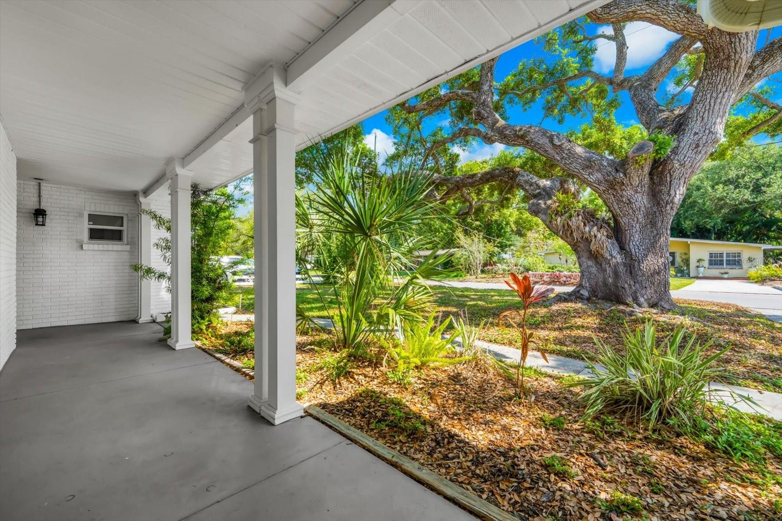 Residential in TAMPA 3