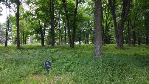 Lot 9 Ackley Landing, ACKLEY, WI, 54409 | Card Image