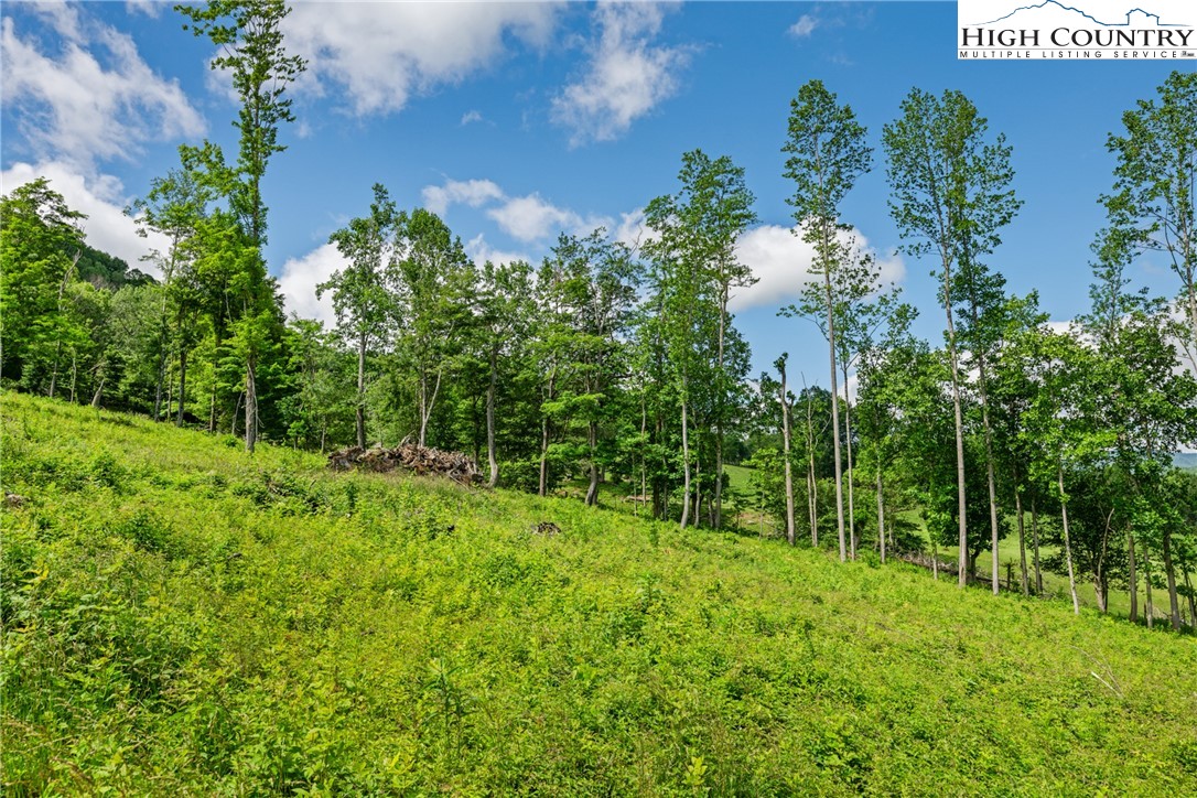 Land in Creston 3