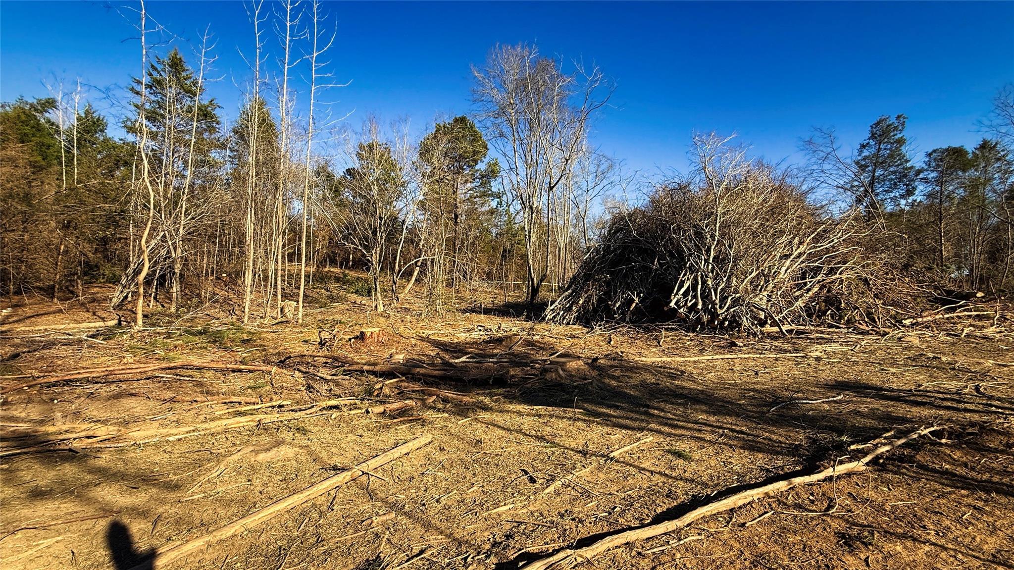 Land in Henderson 4