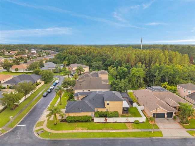31646 Baymont Loop, House other with 5 bedrooms, 4 bathrooms and null parking in WESLEY CHAPEL FL | Image 82