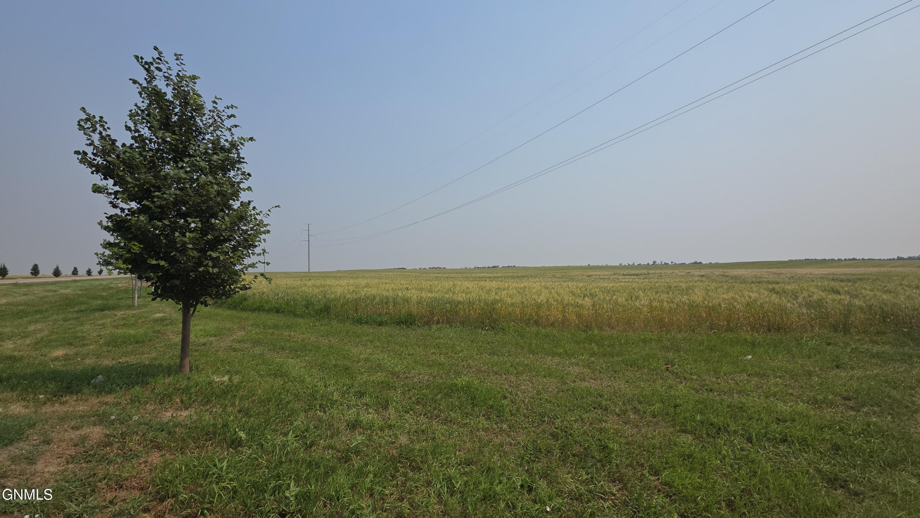 Land in Williston 4