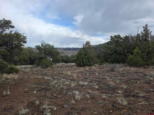 326 Pikrd Peak Road, South Fork, CO, 81154 | Card Image