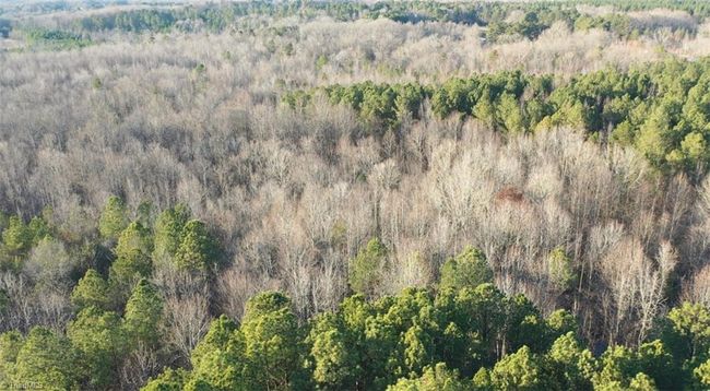 00 Farmstead Rd, Home with 0 bedrooms, 0 bathrooms and null parking in Seagrove NC | Image 13