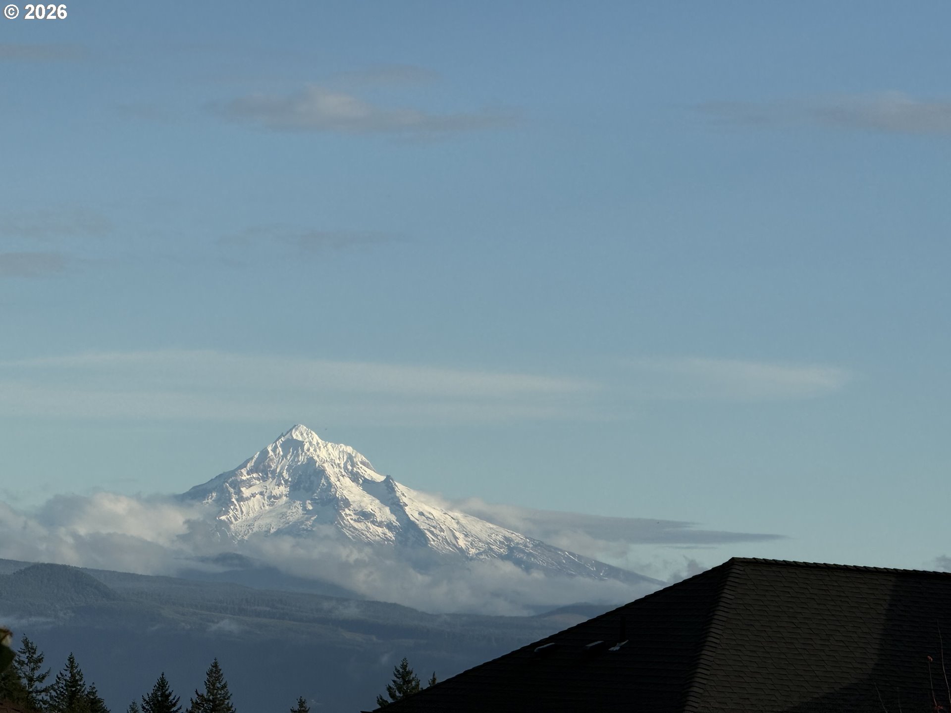 Residential in Camas 3