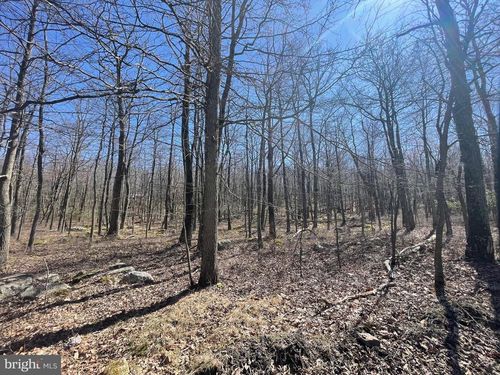 557-556 Haystack Dr, Zion Grove, PA, 17985-9206 | Card Image