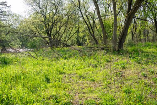 14 Canal St, Champlain, NY, 12919-5036 | Card Image