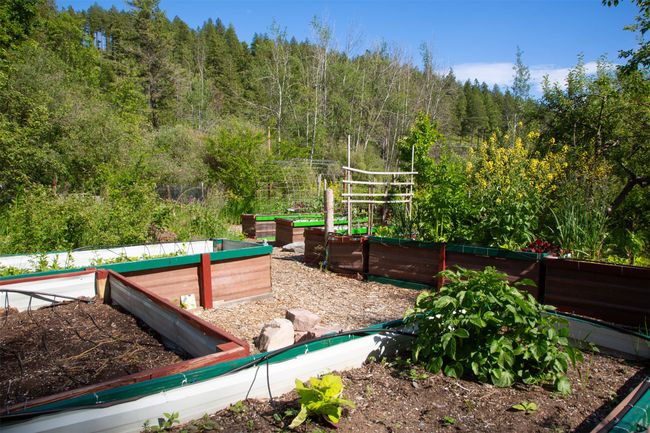 View of yard with a vegetable garden and a view of trees | Image 66