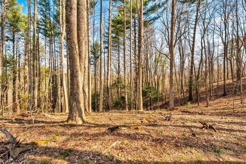 TBD Private Dr, Sugar Grove, NC, 28679 | Card Image
