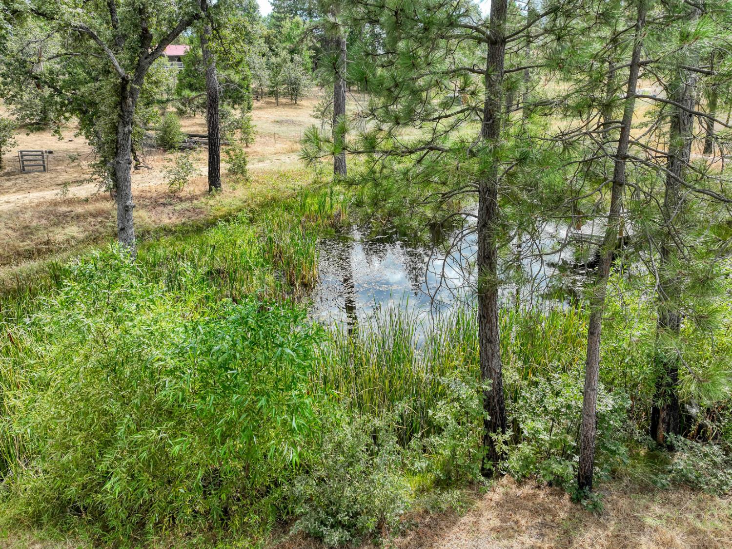 Land in Auberry 5