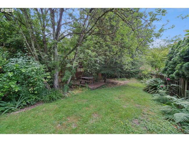 Backyard | Image 33