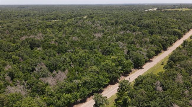 Drone / aerial view of a forest | Image 11