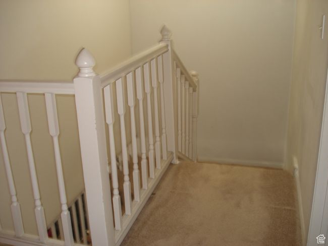 Stairs with carpet | Image 9