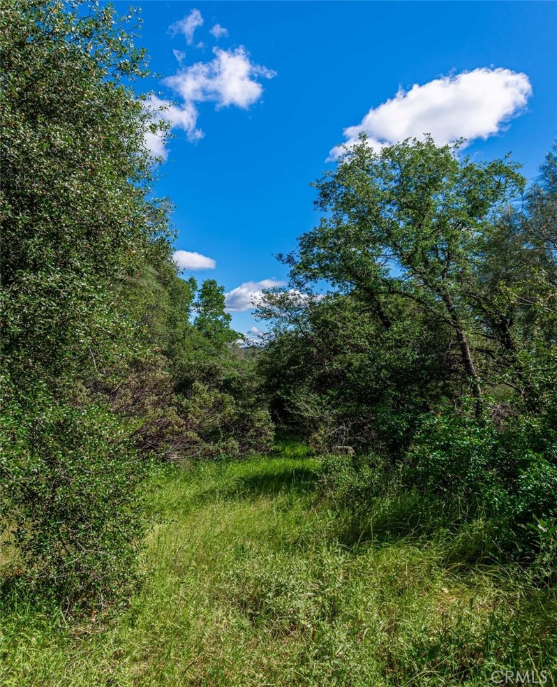 Land in Oroville 4